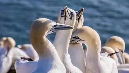 网红在深夜遭遇爆料 炸锅,微密圈全网炸锅,详情直击