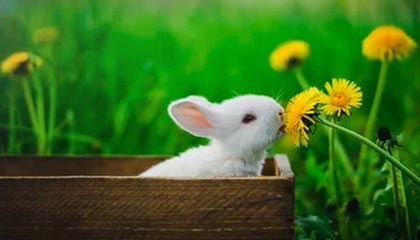 糖心vlog盘点:内幕5条亲测有效秘诀,当事人上榜理由疯狂令人热议不止