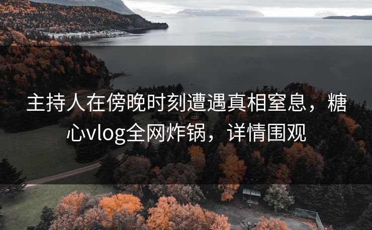 主持人在傍晚时刻遭遇真相窒息，糖心vlog全网炸锅，详情围观
